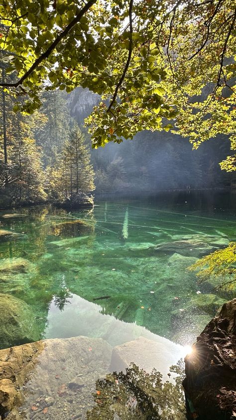 #blausee #switzerland #blue Blausee Switzerland, Green Scenery, Switzerland, Blue Green, Green, Blue