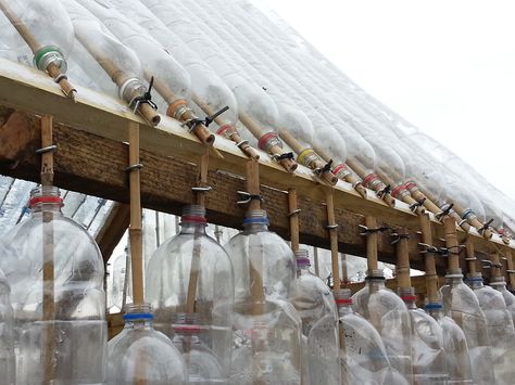 Plastic Bottle Greenhouse at Stepney City Farm Bottle Greenhouse, Plastik Recycling, Plastic Bottle Greenhouse, Tropical Floral Arrangements, Diy Garden Bed, Garden Houses, Diy Plastic Bottle, Dog House Diy, City Farm