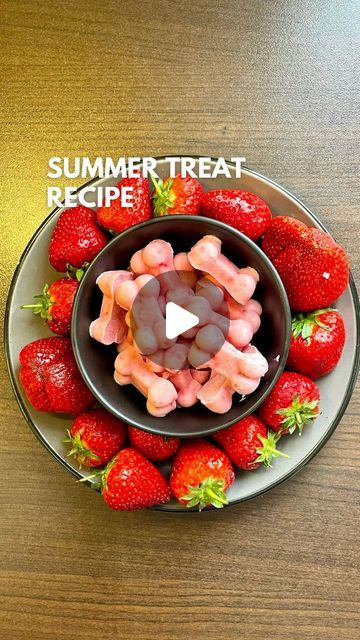 Mia Mini Maltipoo | Content Creator on Instagram: "Delicious summer treat recipe 😋
…for you and your pup 🐶
.
🐶 For dogs:
1 cup strawberries 
1 cup Greek yogurt 
Mix together 
Freeze for at least 4 hours 

💁🏻‍♀️ For humans:
Ingredients as described above 
+ chocolate 

If you like it sweeter, take a milk chocolate OR add sugar/sweetener to the mixture above. It tastes delicious! 🤤 
.
.
.
.
.
#maltipoomia #maltipoo #dogtreatrecipe #summertreats #homemadedogtreats #easyrecipes #happydog #foryou" Mini Maltipoo, Pup Treats, Golden Doodles, Doggie Treats, Puppy Treats, Dog Treat Recipes, Dog Recipes, Easy Food, Summer Treats