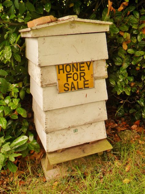 vwcampervan-aldridge: *Honey For Sale* , Wightwick... - CarolinaBlues Honey For Sale, Pushing Daisies, Hundred Acre Woods, Bee Keeper, Original Photography, Wolverhampton, Stardew Valley, Save The Bees, Bees Knees