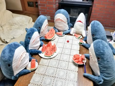 sharks Shark Pictures, Shark Plush, Shark Art, Cute Shark, 웃긴 사진, Silly Animals, Cute Stuffed Animals, Hamsters, Really Funny Memes