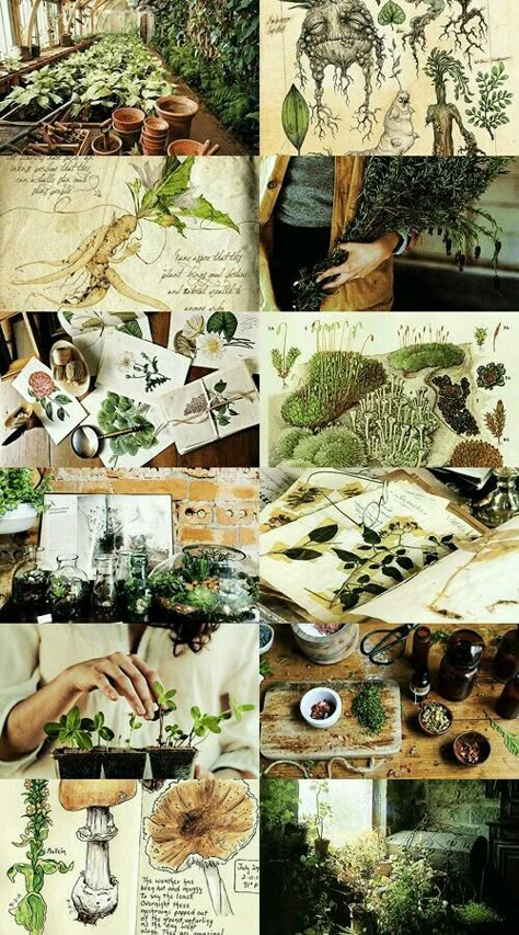 Herbology Herbology Hogwarts, Hogwarts Subjects, Small Herb Gardens, Hufflepuff Aesthetic, Witch Aesthetic, Green Witch, Harry Potter Fantastic Beasts, Jolie Photo, Aesthetic Collage