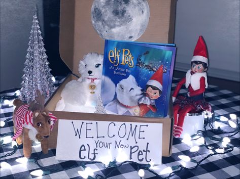 Artic Fox Elf Pet Arrival, Elf On The Shelf Arctic Fox Arrival, Elf And Pet Ideas, Elf On The Shelf With Pets, Artic Fox Elf Pet Ideas, Elf On The Shelf Arctic Fox Ideas, Elf Pets Arrival, Elf On The Shelf Pet Ideas, Elf Idea