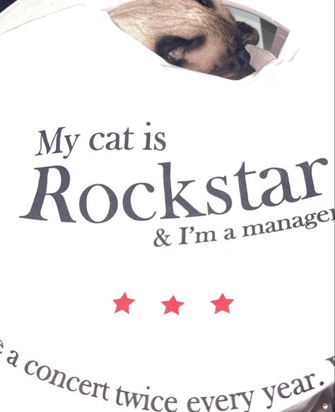 My Cat Is A Rockstar, Rockstar Cat, My Cat, Mood Boards, Digital Art, Layout, Quick Saves, Art