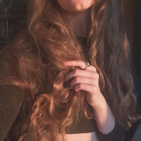 Brown Hair Aesthetic, March Sisters, Lily Evans, Scene Hair, Princess Aesthetic, Aesthetic Hair, Pretty Hairstyles, Hair Looks, Hair Goals