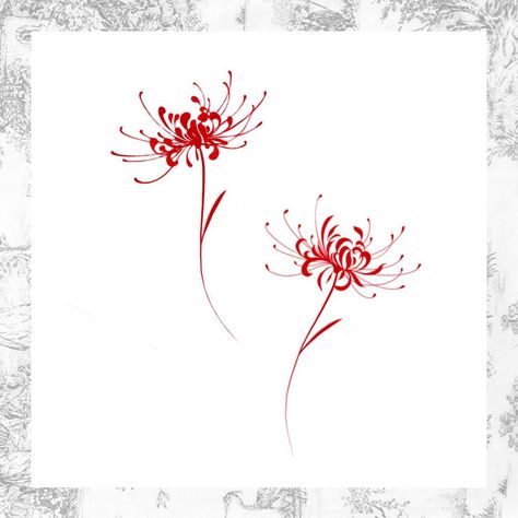 Dragon Lilly Tattoo, Red Flowers Tattoo Design, Spider Lily Embroidery Pattern, Simple Spider Lily Drawing, Fine Line Spider Lily Tattoo, Spider Lily Rib Tattoo, Simple Spider Lily Tattoo, Higanbana Tattoo Design, Spiderlily Drawing Sketches