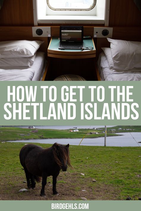 Shetland Islands Scotland, Sisters Trip, Bonnie Scotland, Shetland Islands, Love Boat, On The Road Again, Ways To Travel, Virtual Tours, Car Hire