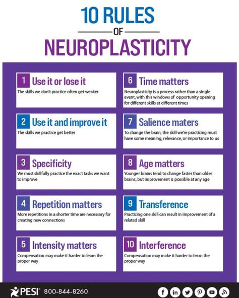 Brain Facts Neuroscience, Neuroplasticity Quotes, Neuro Plasticity, Neuroplasticity Exercises, Psychology Notes, Brain Facts, Brain Anatomy, Brain Exercise, Brain Science