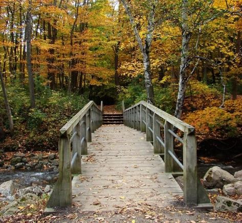 Explore Trails, A Natural Spring, And Even A Biergarten At Petrifying Springs Park In Wisconsin Wisconsin Aesthetic, Wisconsin Attractions, Vacation Restaurants, Things To Do In Wisconsin, Appleton Wisconsin, Natural Spring Water, Natural Spring, Spring Park, Wisconsin Travel