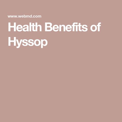 Health Benefits of Hyssop Hyssop Benefits, Medicinal Chemistry, Stomach Ulcers, Asthma Symptoms, Asthma Attacks, Integrative Health, Upset Stomach, Health Risks, Spice Mixes