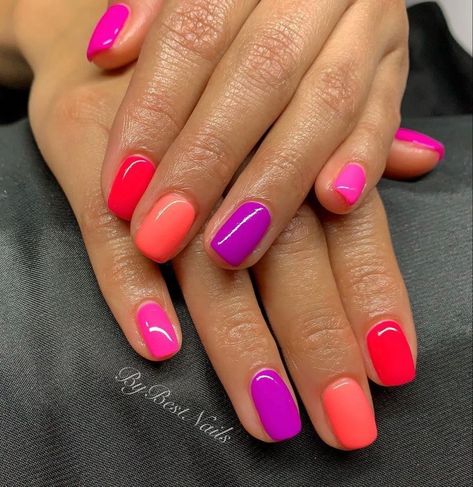 Neon And Nude Nails Designs, Neon Gel Nails Short Summer, Multi Colored Pedicure, Professional Fun Nails, Acrylic Nail Colors Summer, Spring Powder Dipped Nails 2024, Summer 2023 Gel Nails, Dip Nails Different Colors, Summer2023 Nails