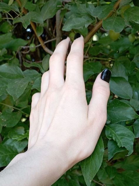 Black Nails Male Aesthetic, Male Black Nails, Aesthetic Black Nails, Hands With Rings, Hands Aesthetic, Black Nail Polish, Nails White, Male Hands, White Skin