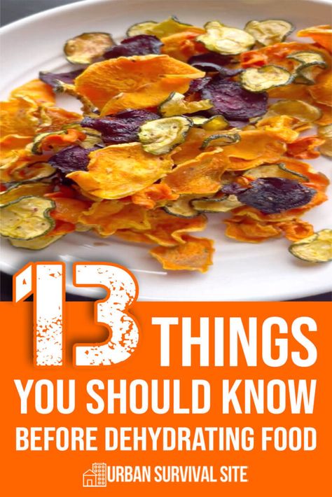 13 Things You Should Know Before Dehydrating Food Dehydrated Meals Recipes, Dehydrated Bacon, Dehydrated Rhubarb, Things To Dehydrate, Foods To Dehydrate, Food Dehydrator Recipes, Dehydrator Recipes Fruit, Dehydrated Recipes, Hunting Food