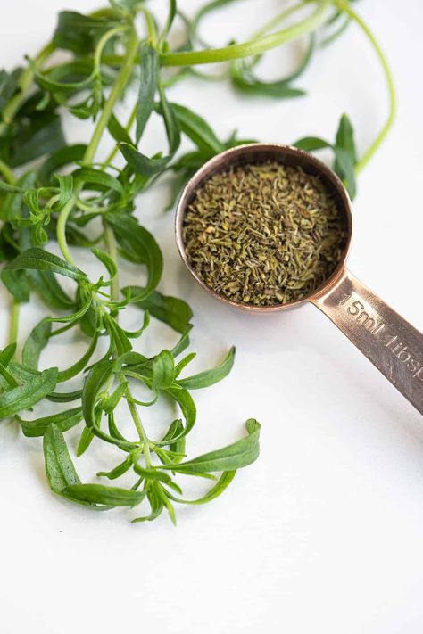 What is Savory Spice? - The Kitchen Magpie Savory Spice, Summer Savory, Edging Plants, Herb Jar, Spice Mix Recipes, Winter Dishes, Savory Herb, Mint Plants, Being Vegan