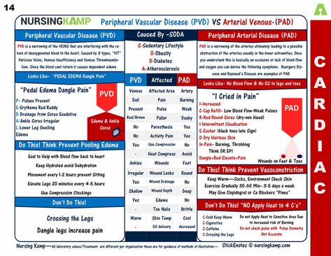 Pad Vs Pvd Nursing, Pad Nursing, Pathophysiology Nursing, Peripheral Artery, Triage Nursing, Nurse Brain Sheet, Nurse Notes, Np School, Nurse Things