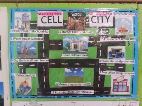 Plant Cell Analogy Project Ideas, Plant Cell City Project Ideas, Vacuole Drawing, Cell City Project Ideas Drawing, Cell City Project Ideas, Cell Organelle Project, Cell Analogy Project Ideas, Cell City Project, Project Biology