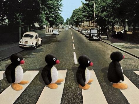 Pingu Memes, Pingu Pingu, Penguin Wallpaper, Noot Noot, Rap Album Covers, Rap Albums, Cute Cartoon Drawings, Photo Wall Collage, Bear Wallpaper