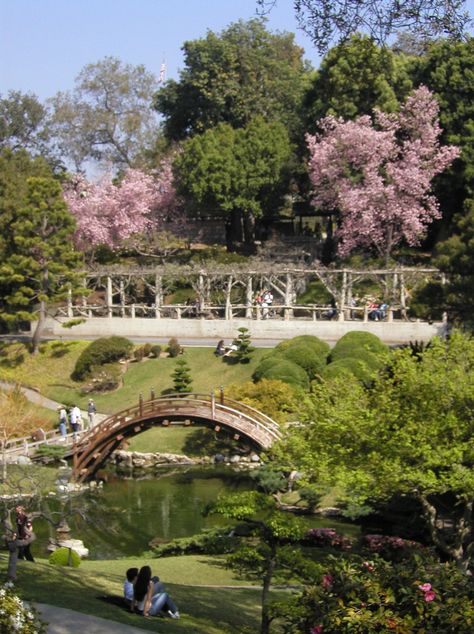 Huntington botanical gardens Japanese Style Garden, Huntington Library, Gardens Of The World, Dream Landscape, Asian Garden, Palace Garden, California History, Garden Images, Japanese Gardens