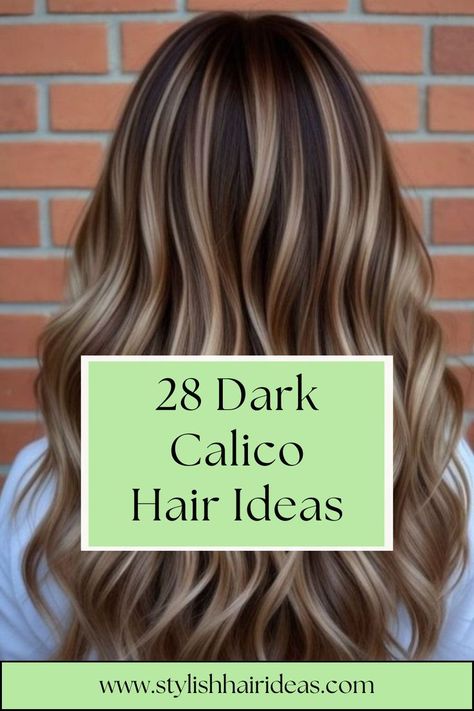 Experiment with bold, colorful streaks that pop against dark base colors. These playful highlights create a striking effect, perfect for those wanting to stand out. Calico Hair Color, Calico Hair, Stylish Hair, Dark Hair, Base Colour, Hair Ideas, Girl Hairstyles, Color Pop, Highlights