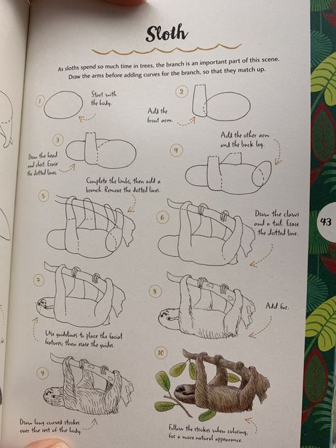 How to draw a sloth How To Draw A Sloth, Sloth Drawings, Sloth Drawing, Nature Art Drawings, A Sloth, Doodle Art Journals, Cat Doodle, Scrapbook Book, Drawing Tutorials