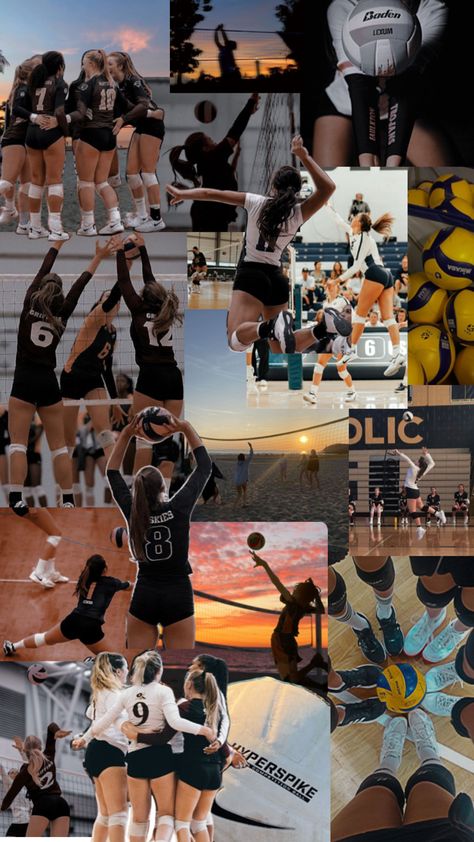 Volleyball Vibe Volleyball, Collage