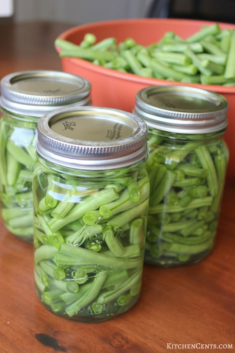 Preserving Green Beans, Canned Green Bean Recipes, Zucchini Salsa, Water Bath Canning Recipes, Pickled Green Beans, Blanching Green Beans, Easy Canning, Pressure Canning Recipes, Snap Beans