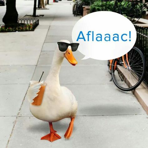 Aflac duck Aflac Duck, What The Duck, Cross Stitch Fairy, Quack Quack, Funny Duck, Yellow Duck, A Duck, Wildlife Animals, Cute Funny Animals