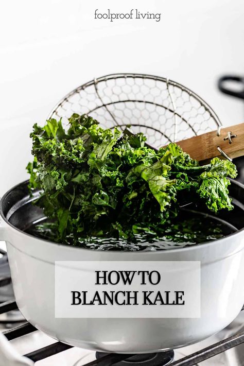 Freezer Kale Recipes, How To Freeze Kale, Cooking Kale On Stove, Can You Freeze Kale, Frozen Kale, Pineapple Kale Smoothie, Types Of Kale, Red Kale, Freezing Kale