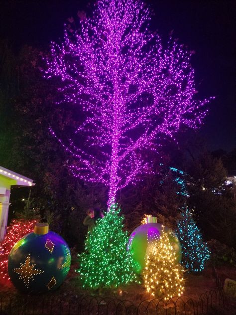 Dollywood at Christmas Christmas Lights, Christmas Tree, Holiday Decor, Christmas