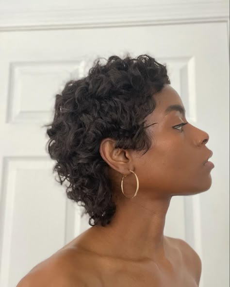 Short curly mullet cut Curly Mullet No Bangs, Growing Out Buzzcut Hairstyles Curly, 3b Curly Mullet, "mixie" Haircut Curly, Messy Short Curly Hair, Short Haircuts On Black Women, Mixie Pixie Mullet Curly, Coily Mullet, Curly Mullet Black Women