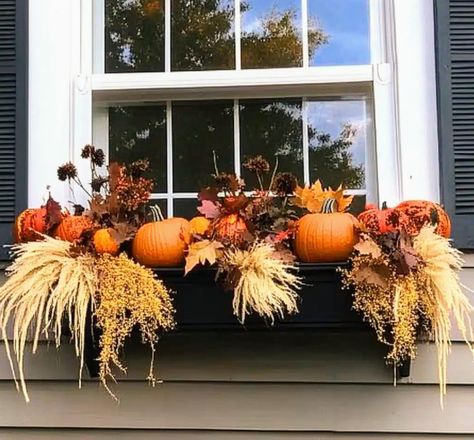 Fall Railing Planter Ideas, Halloween Planter Box Ideas, November Porch Decor, Fall Planter Boxes, Fall Decor Ideas For The Home Porch, Fall Window Boxes Ideas, Fall Planters Front Porches, Fall Outdoor Decorating, Fall Patio Decor