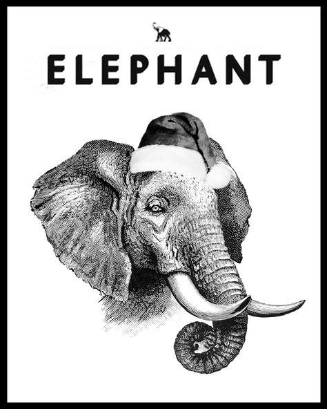 Elephant magazine by Hayley Warnham Hayley Warnham, Elephant Magazine, Christmas Magazine, Christmas Special, Magazine Covers, Magazine Cover, The Christmas, Nuts, Elephant