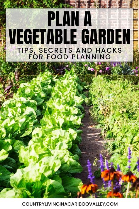 Family Garden Plan, Best Vegetable Garden Layout, Garden Box Vegetable Layout, How To Make A Vegetable Garden, How To Start A Vegetable Garden For Beginners, Summer Vegetable Garden Layout, Planting Raised Garden Beds Layout, Protect Vegetable Garden From Animals, Planting A Vegetable Garden