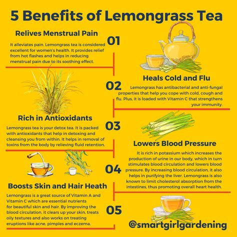 Let's look at the benefits of fever grass, more commonly known as “lemongrass” outside of Jamaican. ⁠ ⁠ The tea is widely brewed by Jamaicans to reduce fever, hence the name “fever grass”. Here are some benefits to drinking the tea or using the lemon grass essential oil extracted from the plant.⁠ ⁠ Have you ever seen any medicinal benefits of lemongrass?⁠ ⁠ #herbfact #herbaltea #medicinalherbs #medicinalplants #lemongrass #fevergrass #lemongrasstea #lemongrassoil #medicinalgarden Benefits Of Lemongrass Tea, Lemon Grass Benefits, Lemon Grass Tea Benefits, Lemongrass Benefits, Dandelion Tea Benefits, Lemongrass Drink, Lemon Grass Essential Oil, Lemon Grass Tea, Lemongrass Recipes