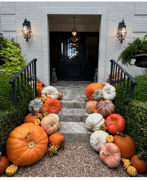 Stack Pumpkins, Pumpkin Porch Decor, Pumpkin Porch, Porch Pumpkins, Holiday Mini Session, Pumpkin Designs, Stacked Pumpkins, Pumpkin Decor, Outdoor Decorating