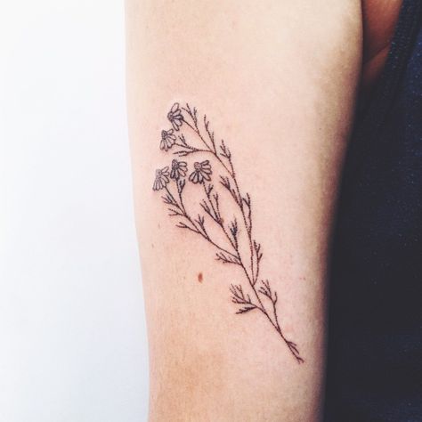 Instagram Chamomile Tattoo, Browning Tattoo, Hand Poke, Chamomile Flowers, Body Modifications, Piercing Tattoo, Get A Tattoo, Pretty Tattoos, Body Mods