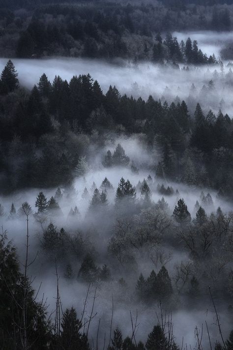 Viking Aesthetic, Nordic Aesthetic, Dark Mountains, Mountain Aesthetic, Nordic Vikings, Norwegian Wood, Winter Mountain, Norwegian Forest, New Fantasy