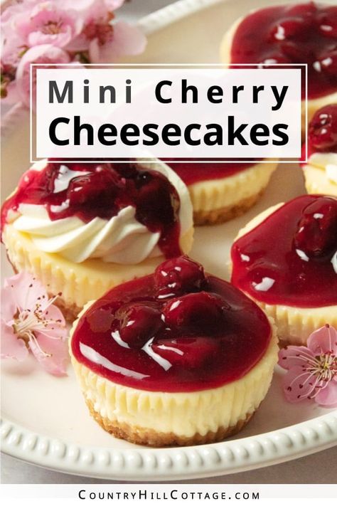 Mini Cherry Cheesecakes No Bake, Cherry Cheesecake Cups, Cherry Treats, Cherry Cheesecake Bites, Graham Cracker Crust Cheesecake, Mini Cherry Cheesecakes, Mini Cherry Pies, Cherry Cheesecake Recipe, Vanilla Wafer Crust