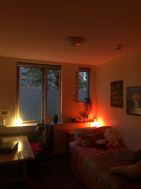 Trinity College Dublin Dorm, Trinity Dublin, Room Inspo College, Dublin University, Western Illinois University, University Dorms, Trinity College Dublin, Trinity College, Dream College