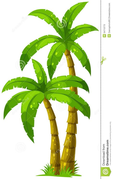 Two Palm Trees Stock Photos - Image: 34713773 Palm Tree Clip Art, Cartoon Palm Tree, Palm Tree Drawing, Palm Tree Vector, Family Tree Tattoo, Illustration Tattoo, Coconut Palm Tree, Palm Tree Tattoo, Tree Clipart