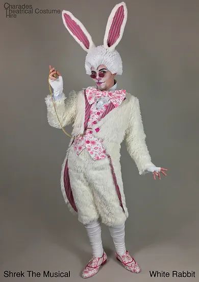 Easter Costumes For Kids, Donkey Costume, Shrek Musical, Animal Costume Ideas, Shrek Costume, Easter Bunny Costume, Hero Clothes, Shrek The Musical, Easter Costume