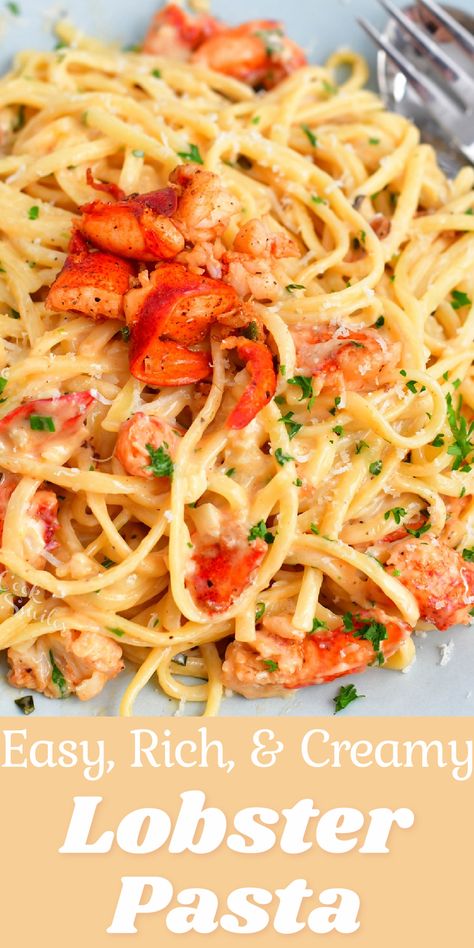 Lobster Pasta Recipe, Mediterranean Seafood, Seafood Pasta Dishes, Seafood Medley, Lobster Pasta, Seafood Dish Recipes, Lobster Dishes, Lobster Recipes Tail, Creamy Parmesan Sauce