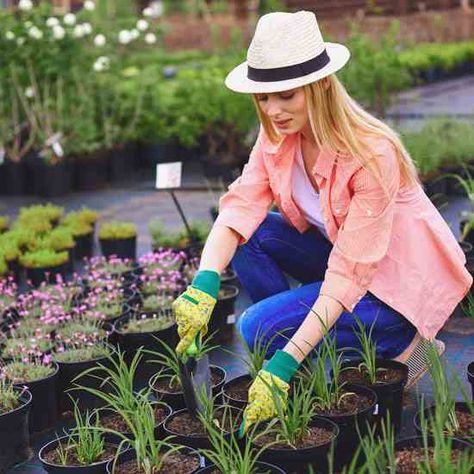 The male’s role on a homestead is stereotypically thought of as the farmer. American history suggests that women farmers have always been common and are at the forefront of the present-day farming revolution. #InternationalWomensDay #IWD2018 #PressforProgress Farmer Woman, Plant Portrait, Women Farmers, Farm And Garden, Types Of Farming, Modern Farmer, Masc Women, Farmer Girl, Old Windmills