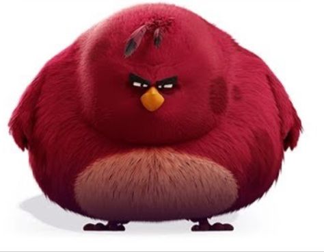 Terence Angry Birds, Angry Brids, Angry Birds 2 Movie, Angry Birds Yellow Bird, Angry Birds Characters, Red Angry Bird, How To Draw Anything, Homemade Face Paints, Fat Bird