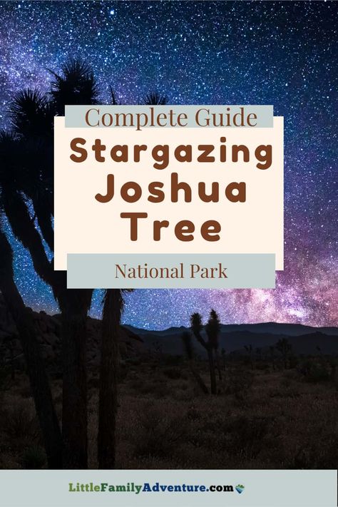 Joshua Tree Night Sky, Joshua Tree Stargazing, Joshua Tree At Night, A Night Under The Stars, Mt Whitney, New Moon Phase, Night Time Photography, Adventure Journal, Night Under The Stars