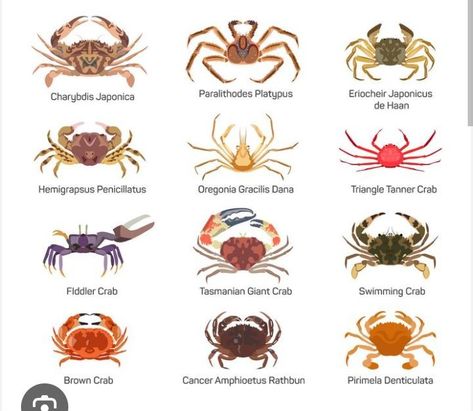 Crustaceans