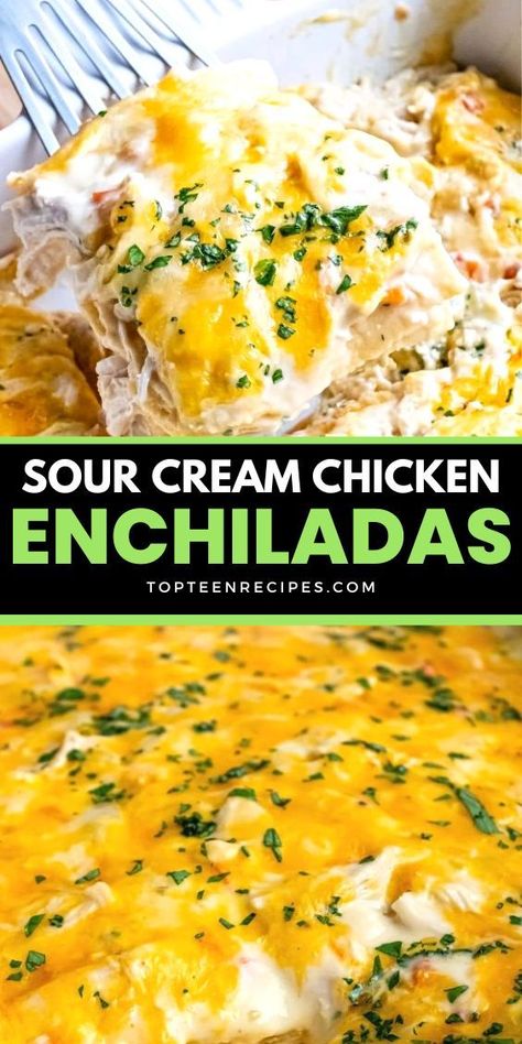 Sour Cream Chicken Enchilada Casserole, Sour Cream Chicken Enchilada Recipe, Creamy Chicken Bake, Sour Cream Chicken Enchiladas, Cream Chicken Enchiladas, Easy Enchilada Recipe, Sour Cream Enchiladas, Chicken Enchilada Casserole Recipe, Cream Chicken