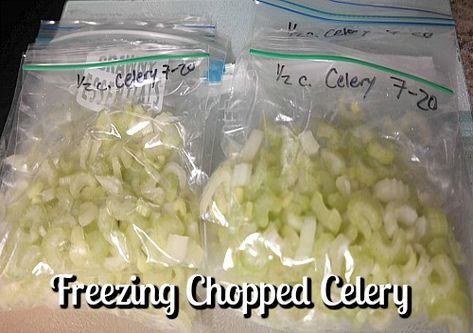 Can You Freeze Celery, Freezing Celery, Freeze Celery, How To Freeze Celery, Freeze Veggies, How To Store Celery, Freezer Jams, Freezer Desserts, Once A Month Cooking