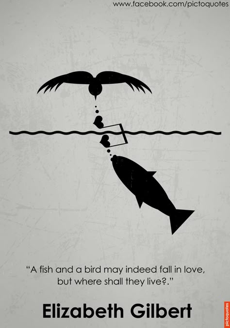 Probability Quotes, Fish Quotes, Advice From A Fish, Fish Sayings Quotes, Give A Man A Fish Quote, Some Birds Arent Meant To Be Caged Quote, Elizabeth Gilbert Quotes, Great Love Quotes, Albert Einstein Fish Quote