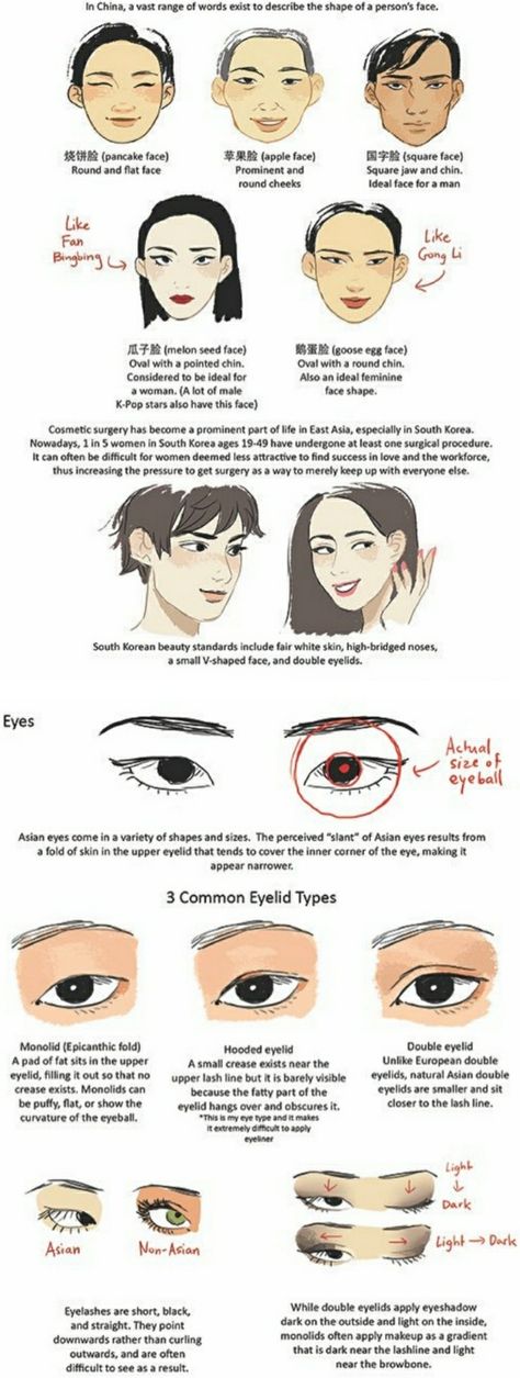 How To Draw East Asian Eyes, East Asian Eyes Drawing, Asian Skin Tone Drawing, Asian Noses Drawing, Asian Person Drawing Reference, Asian Eyes Art Reference, Asian Eye Tutorial Drawing, Different Facial Features Drawing, How To Draw East Asian Features